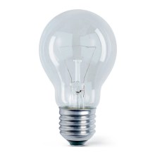 Промислова лампочка E27/100W/230V