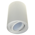 Прожектор CORONA 1xGU10/30W/230V белый