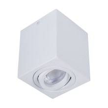 Прожектор SIN 1xGU10/50W/230V белый