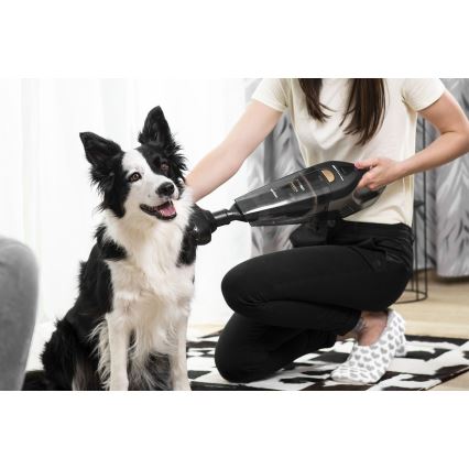 Concept VP4353 - Ручной пылесос WET & DRY с удлинительной трубкой 110 Вт/18,5 В 2200 мАч черный