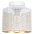 Потолочный светильник ALDO 1xE27/60W/230V диаметр 20 см белый