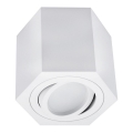 Потолочный светильник ARENO 1xGU10/30W/230V белый