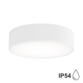 Потолочный светильник для ванной комнаты CLEO 2xE27/24W/230V d. 30 cm белая IP54