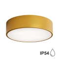 Потолочный светильник для ванной комнаты CLEO 2xE27/24W/230V d. 30 cm gold IP54