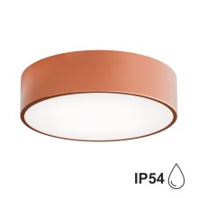Потолочный светильник для ванной комнаты CLEO 2xE27/24W/230V d. 30 cm медь IP54