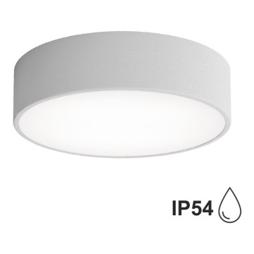 Потолочный светильник для ванной комнаты CLEO 2xE27/24W/230V d. 30 cm серая IP54