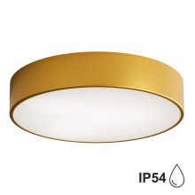 Потолочный светильник для ванной комнаты CLEO 3xE27/24W/230V d. 40 cm gold IP54
