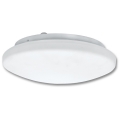 Потолочный светильник для ванной комнаты VICTOR 2xE27/60W/230V IP44