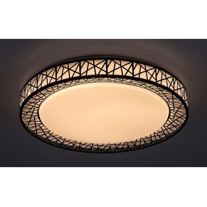 Rabalux - Світлодіодний стельовий світильник із регулюванням яскравості LED/48W/230V 3000-6500K + пульт дистанційного керування, діаметр 49 см