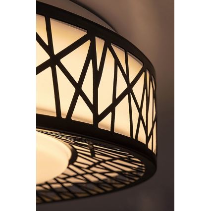 Rabalux - Світлодіодний стельовий світильник із регулюванням яскравості LED/48W/230V 3000-6500K + пульт дистанційного керування, діаметр 49 см