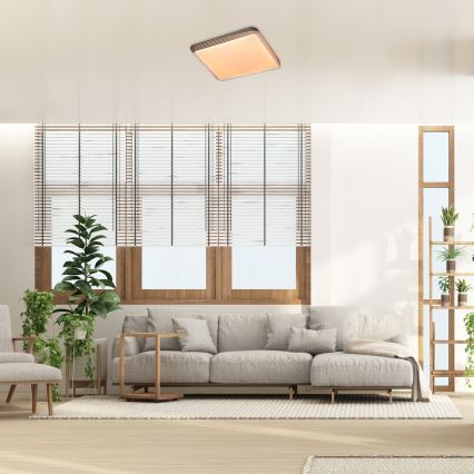 Rabalux - LED стельовий світильник LED/40W/230V 3000K 48x48 см