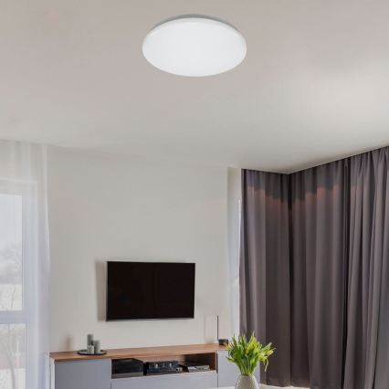 Rabalux - LED стельовий світильник для ванної кімнати LED/12W/230V IP44 4000K діам. 25,5 cm