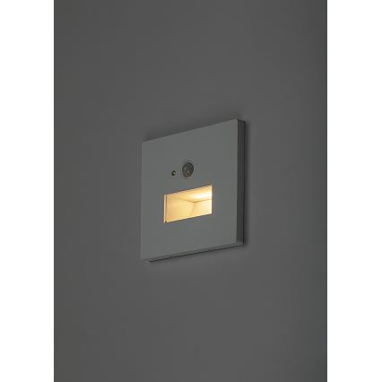 Rabalux - LED сходовий світильник з датчиком руху та сутінків LED/1W/230V 3000/4500/6500K білий