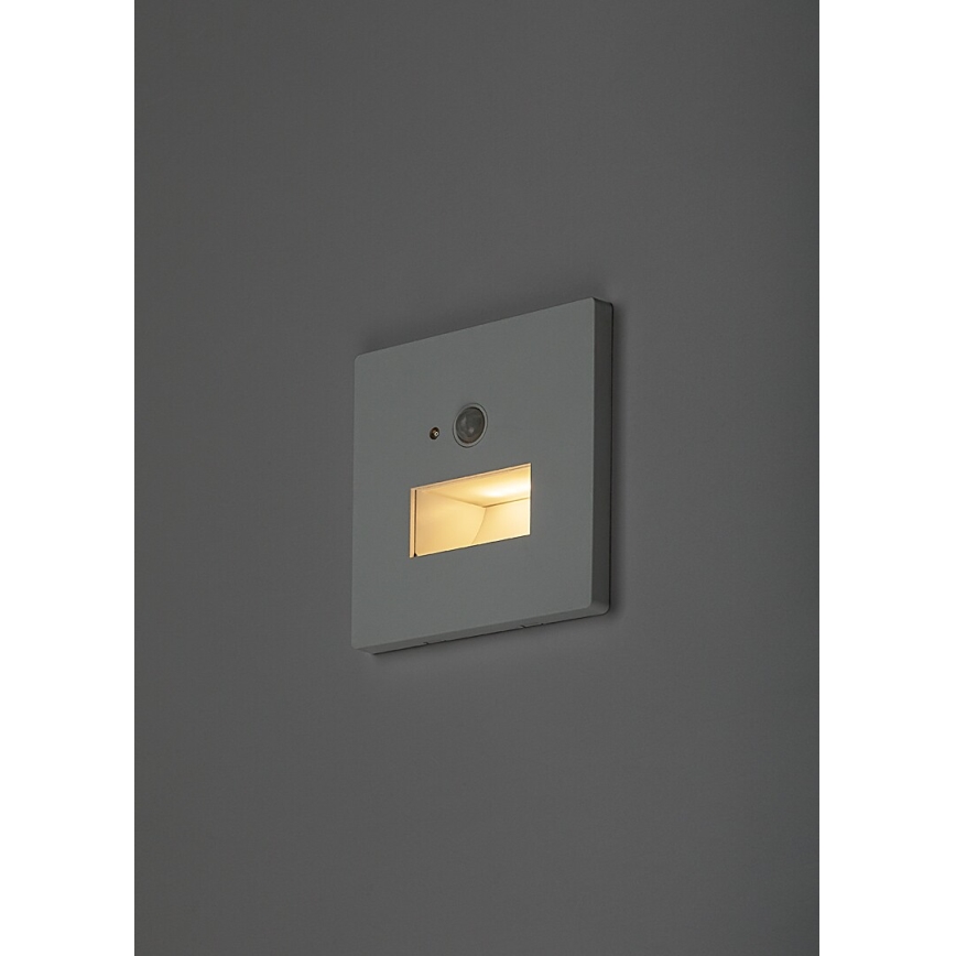 Rabalux - LED сходовий світильник з датчиком руху та сутінків LED/1W/230V 3000/4500/6500K білий