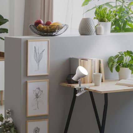 Rabalux - Світлодіодна лампа з затискачем LED/5W/230V