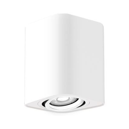 Rabalux - Точковий світильник 1xGU10/42W/230V білий