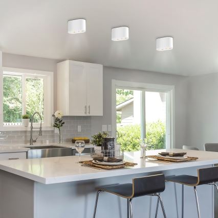 Rabalux - Точковий світильник 2xGU10/42W/230V білий