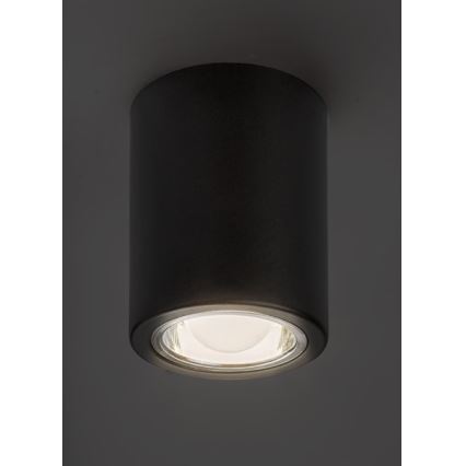 Rabalux - Точковий світильник 1xE27/25W/230V чорний