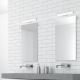 Rabalux - Світлодіодне підсвічування дзеркала у ванній кімнаті LED/6W/230V 34cm IP44