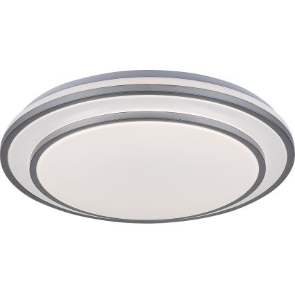 Rabalux - Стельовий світлодіодний світильник з регулюванням яскравості LED/40W/230V 3000-6500K срібний + пульт ДК