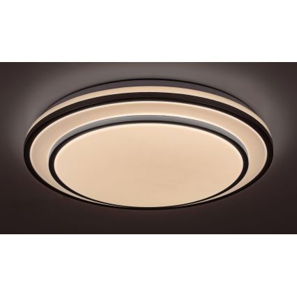 Rabalux - Стельовий світлодіодний світильник з регулюванням яскравості LED/40W/230V 3000-6500K срібний + пульт ДК