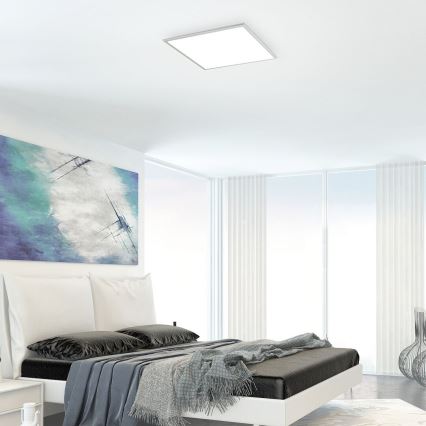 Rabalux - Світлодіодна панель LED/40W/230V 60x60 см