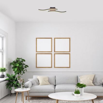 Rabalux - LED накладна люстра 2xLED/12W/230V