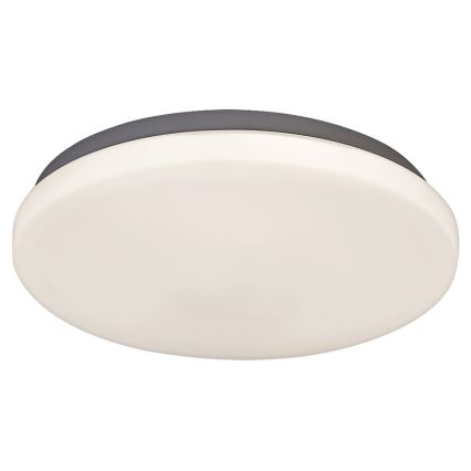 Rabalux - Світлодіодний стельовий світильник 1xLED/20W/230V