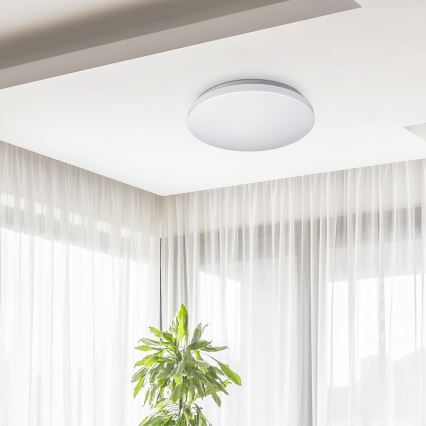 Rabalux - потолочный светильник LED, 32 Вт, 230 В, диаметр 38 см