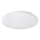 Rabalux 2285 - Светодиодный потолочный светильник ROB 1xLED/32W/230V круглый
