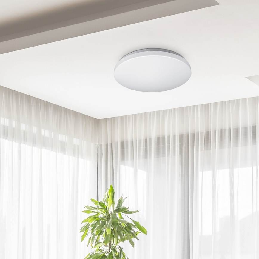 Rabalux - Світлодіодний стельовий світильник 1xLED/32W/230V
