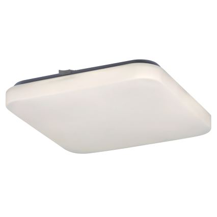 Rabalux - Світлодіодний стельовий світильник 1xLED/20W/230V