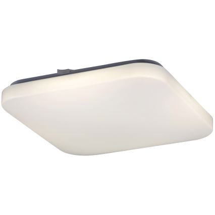 Rabalux 2287 - Светодиодный потолочный светильник ROB 1xLED/32W/230V квадратный