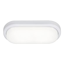 Rabalux 2496 - Светодиодный потолочный светильник для ванной комнаты LOKI LED/15W