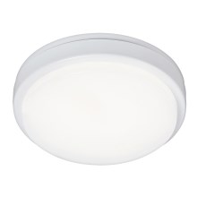 Rabalux 2497 - Светодиодный потолочный светильник для ванной комнаты LOKI LED/15W