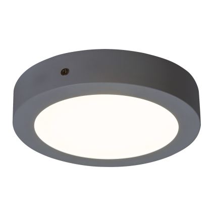 Rabalux - Світлодіодний стельовий світильник LED/12W/230V