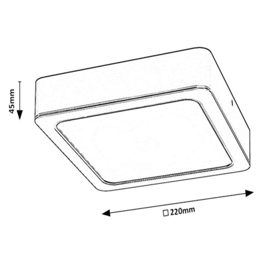Rabalux - Світильник стельовий LED/24W/230V 22x22 см