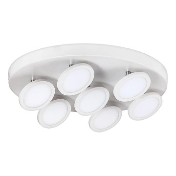 Rabalux 2715 - Світлодіодний стельовий світильник ELSA 7xLED/6W/230V білий