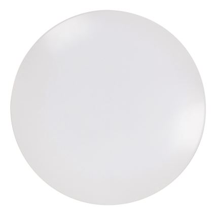 Rabalux - Світлодіодний стельовий світильник 1xLED/18W/230V