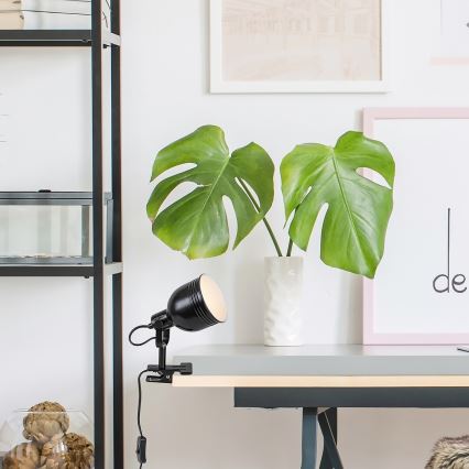 Rabalux - Лампа з затискачем 1xE14/25W/230V чорний