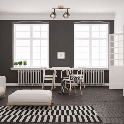 Rabalux - Точечный светильник 2xE14/40W/230V