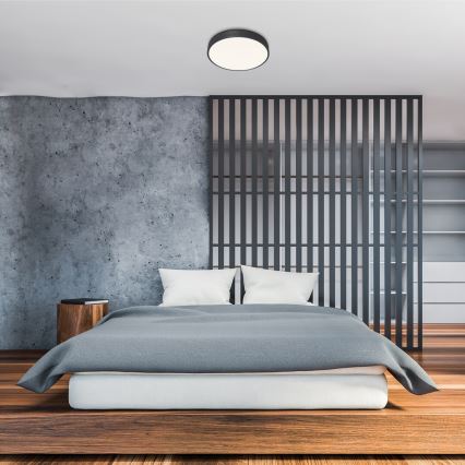 Rabalux - Светодиодный диммируемый потолочный светильник LED/60W/230V, диаметр 60 см, с пультом дистанционного управления