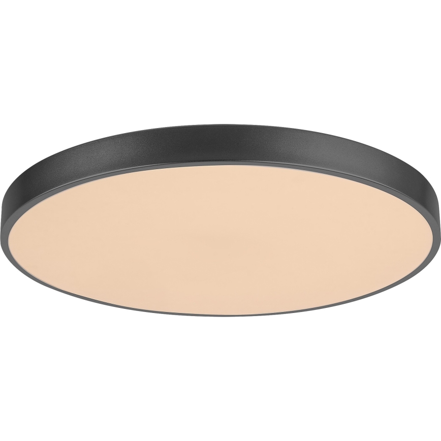 Rabalux - Светодиодный потолочный светильник с регулированием яркости LED/60W/230V 60 см + дистанционное управление
