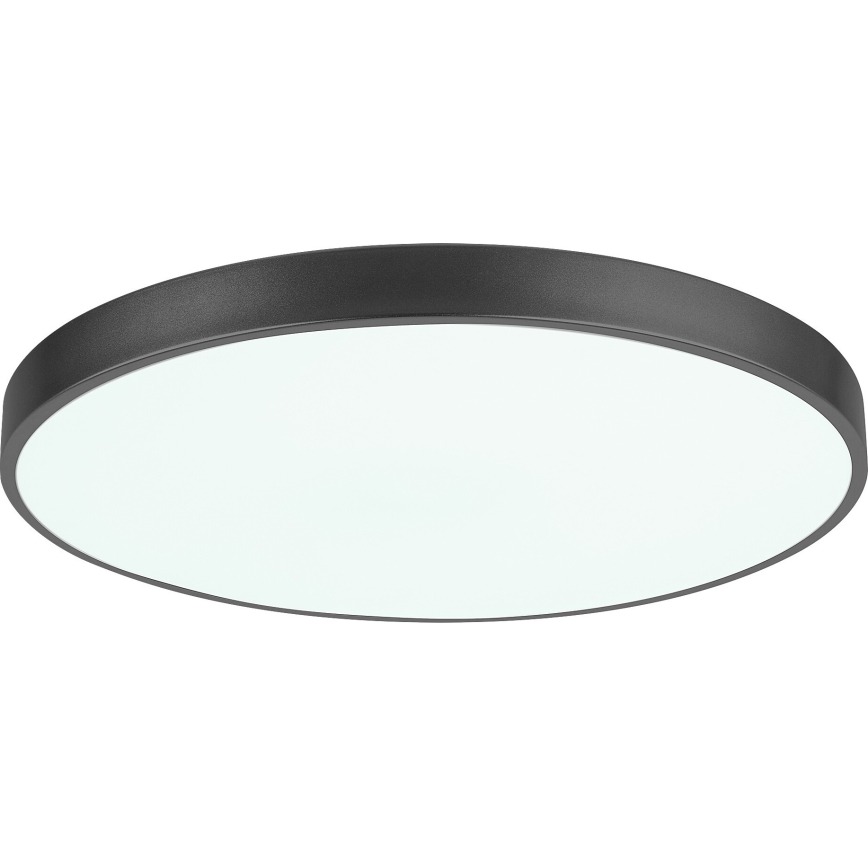 Rabalux - Світлодіодний стельовий світильник з регулюванням яскравості LED/60W/230V 60 см + пульт дистанційного керування