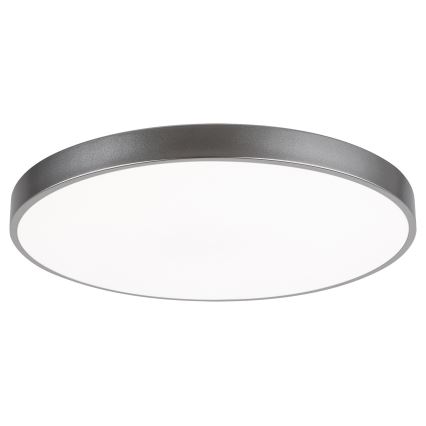 Rabalux - Стельовий LED світильник з регулюванням яскравості LED/60W/230V 60 см + ДК