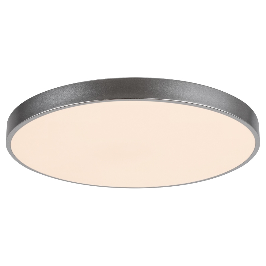 Rabalux - Стельовий LED світильник з регулюванням яскравості LED/60W/230V 60 см + ДК