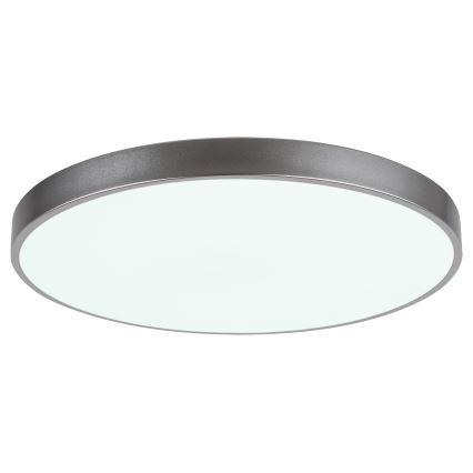 Rabalux - Стельовий LED світильник з регулюванням яскравості LED/60W/230V 60 см + ДК