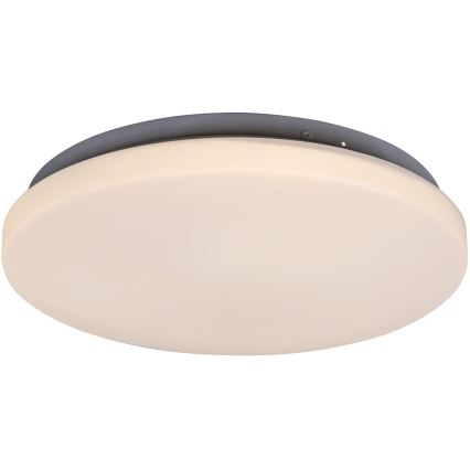 Rabalux - Светодиодный потолочный светильник 1xLED/20W/230V диаметр 29 см