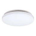 Rabalux 3338 - Светодиодный потолочный светильник ROB 1xLED/20W/230V