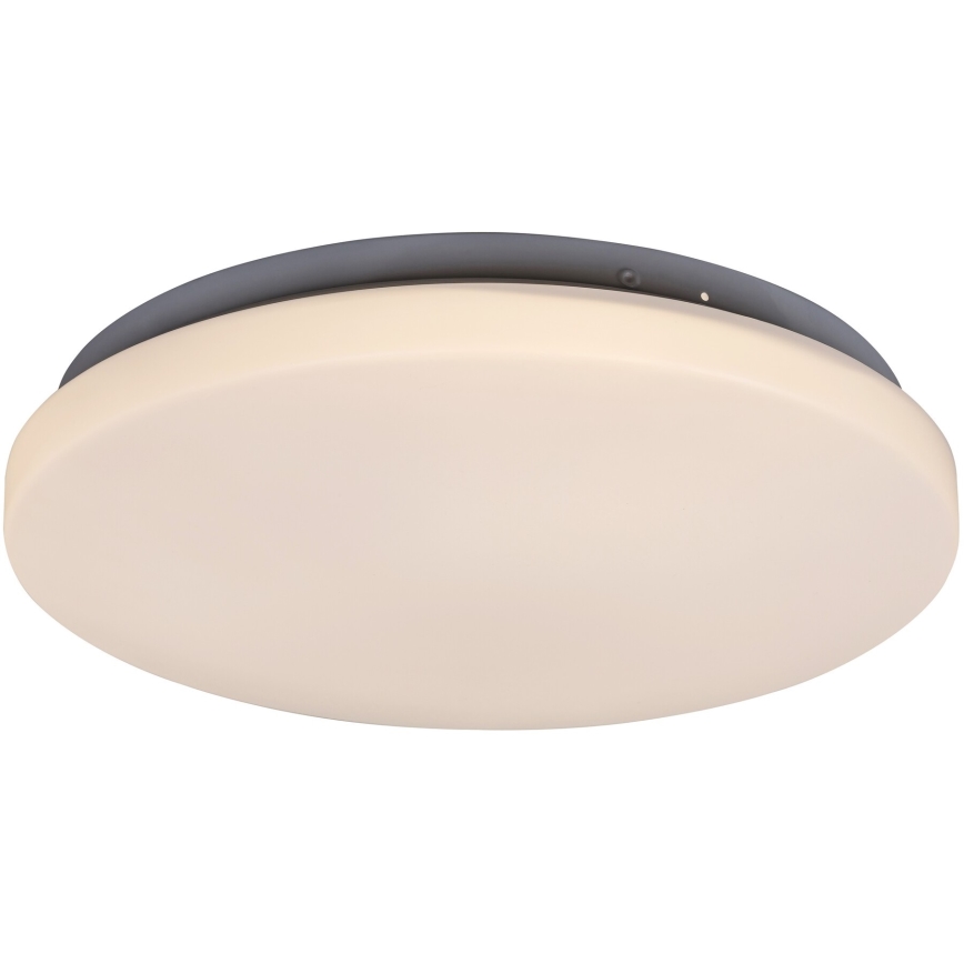 Rabalux - Світлодіодний стельовий світильник 1xLED/20W/230V